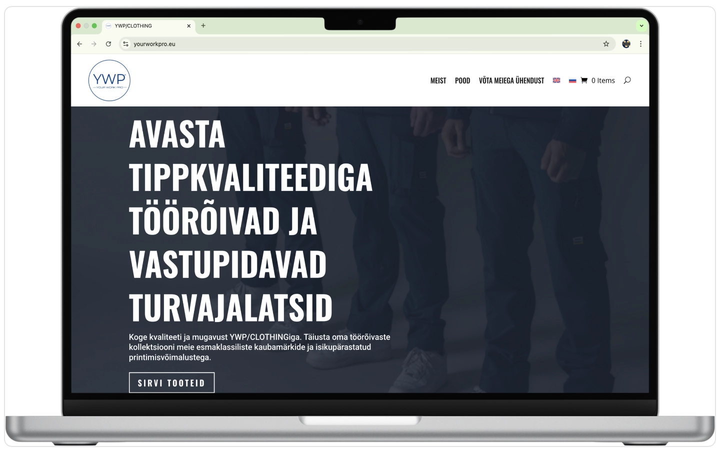 kuvatõmmis yourworkpro.eu kodulehe esilehest